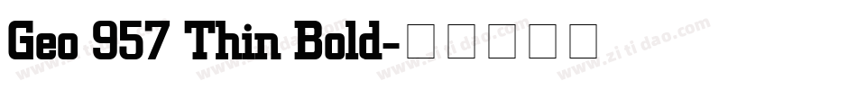Geo 957 Thin Bold字体转换
